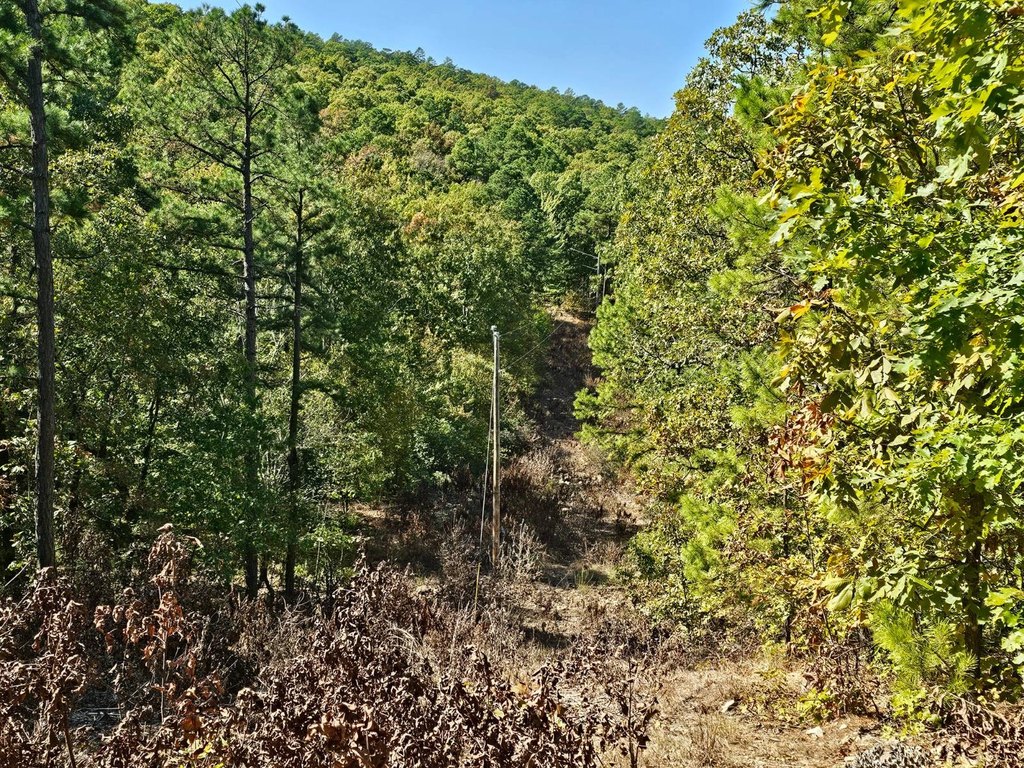 Picture 18