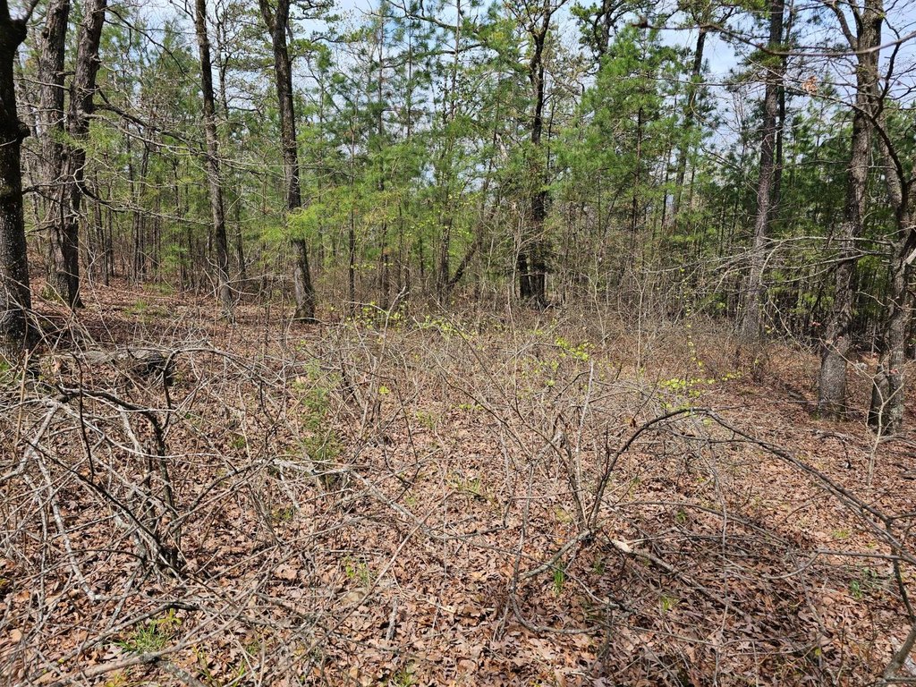 Picture 13