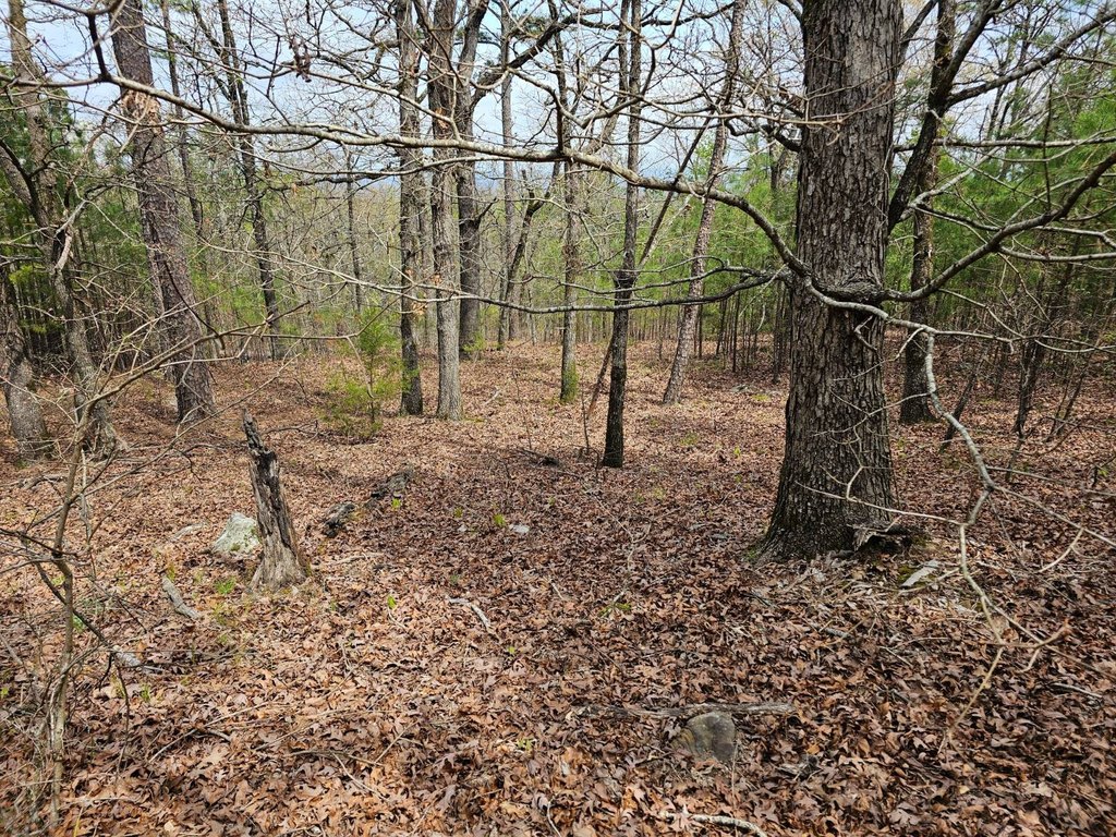 Picture 14