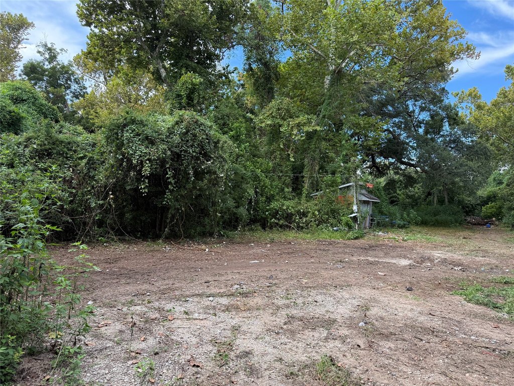 Picture 17