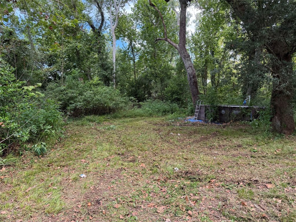 Picture 15