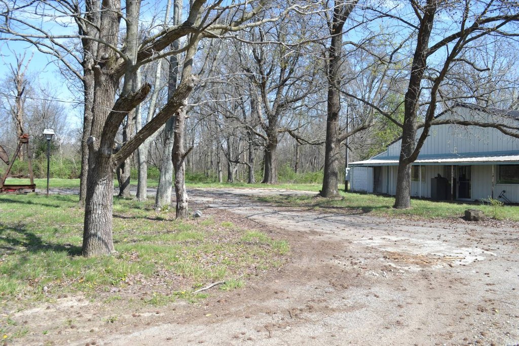 Picture 19
