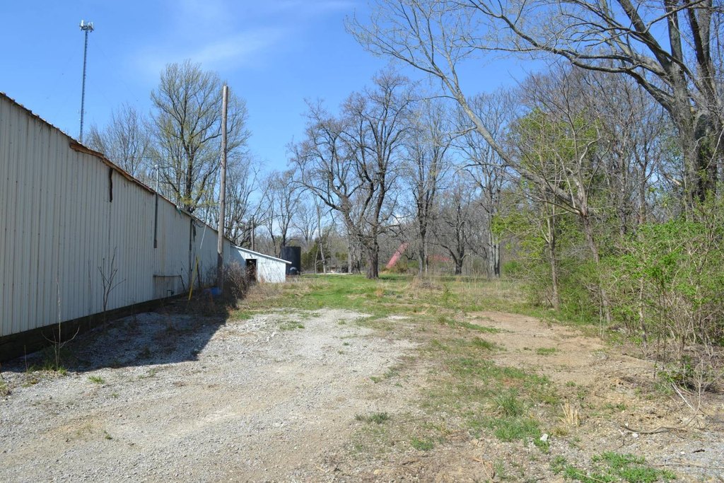 Picture 29