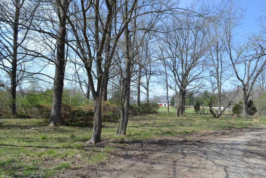 Picture 21