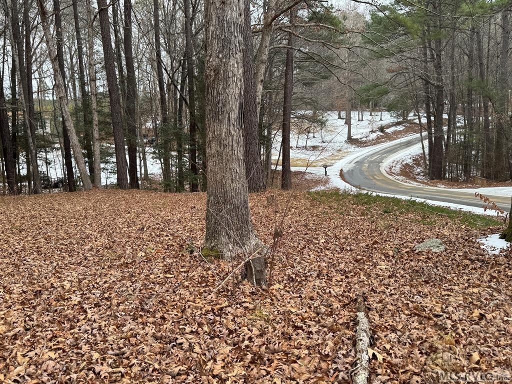Picture 12