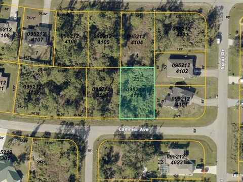 Residential Lot in North Port