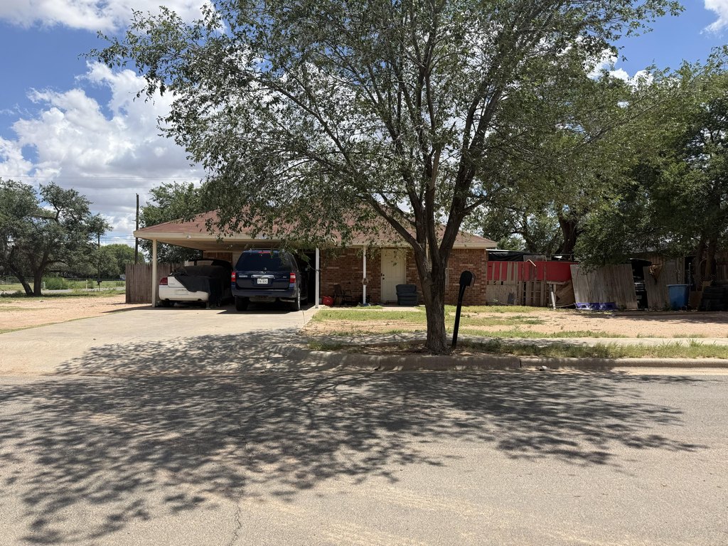 Picture 25