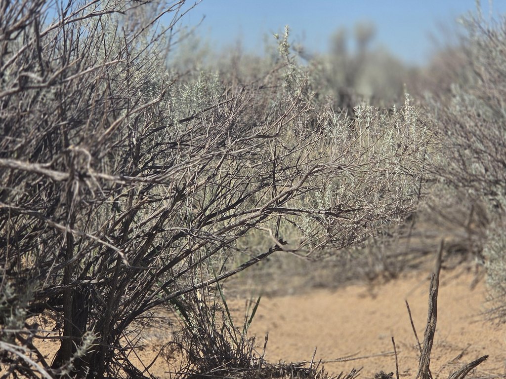 Picture 13