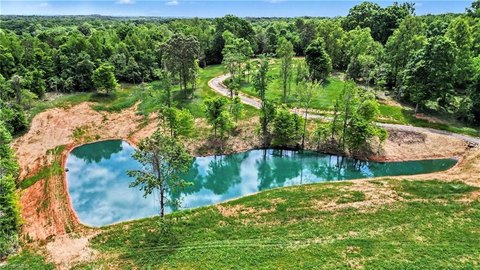 Pastureland Estate Opportunity
