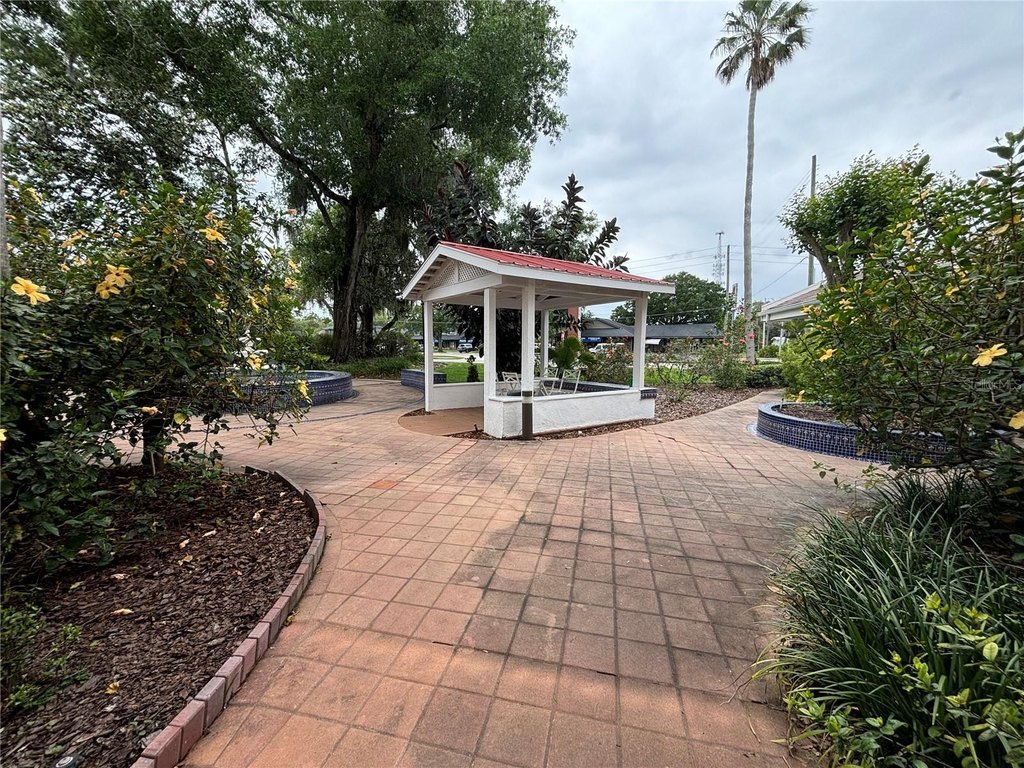 Picture 20