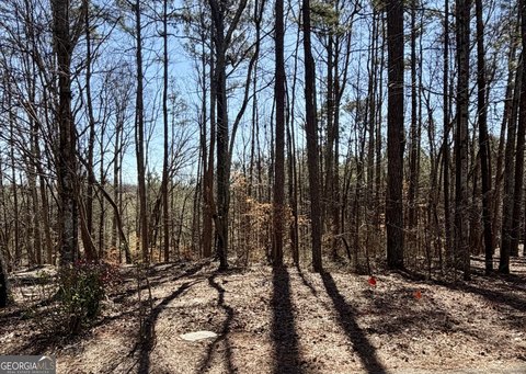 Land, Villa Rica, GA