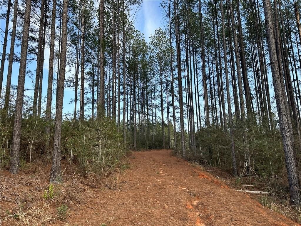 Chunchula Land in Turnerville Farms