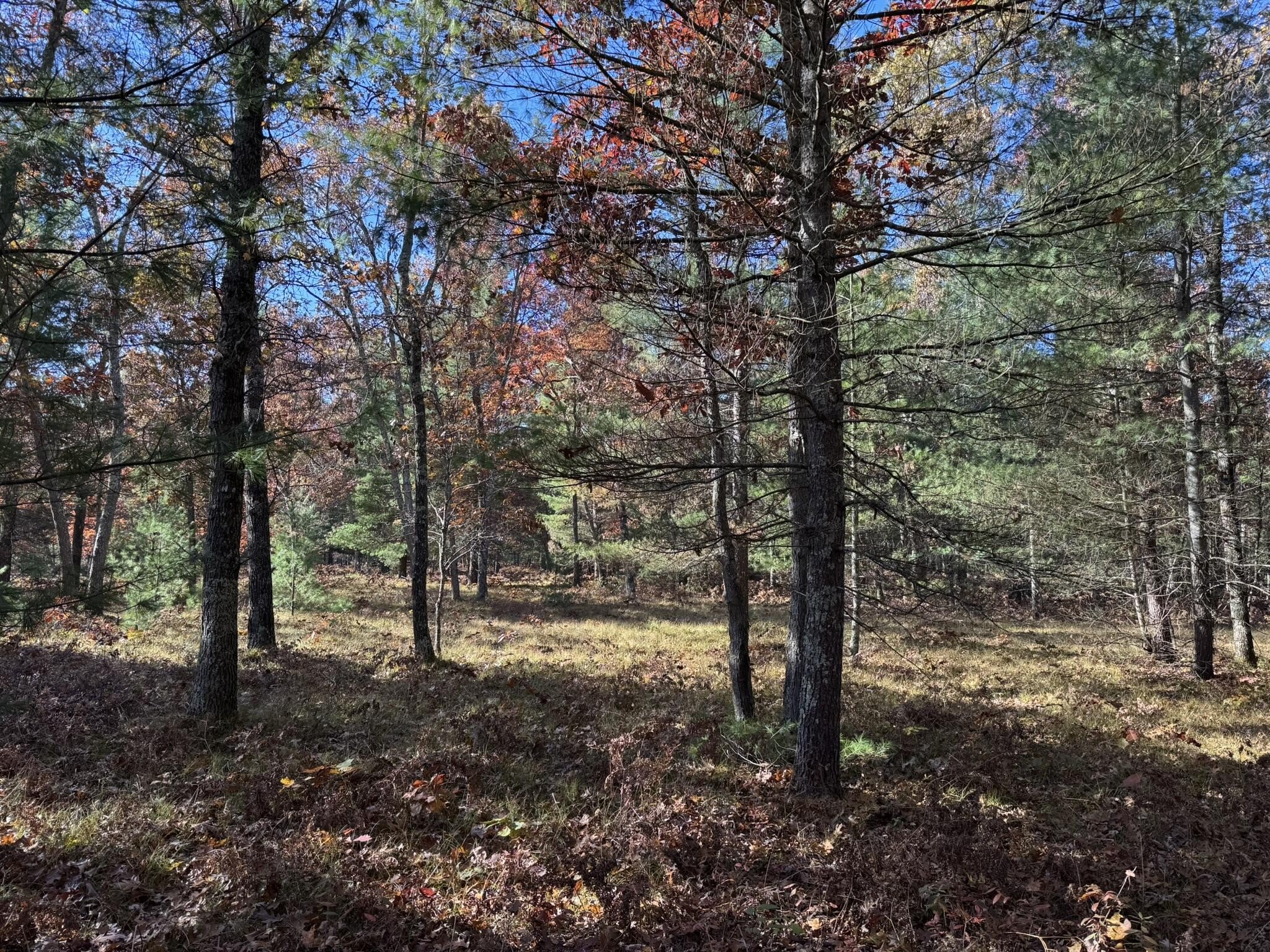 Buildable Land in Free Soil