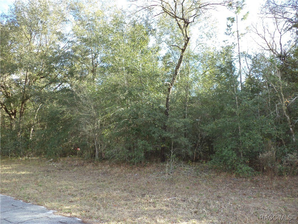 Residential Land in Citrus Springs