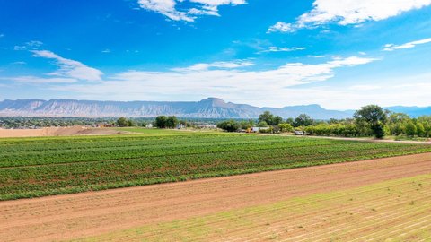 Grand Junction Farmland with Irrigation