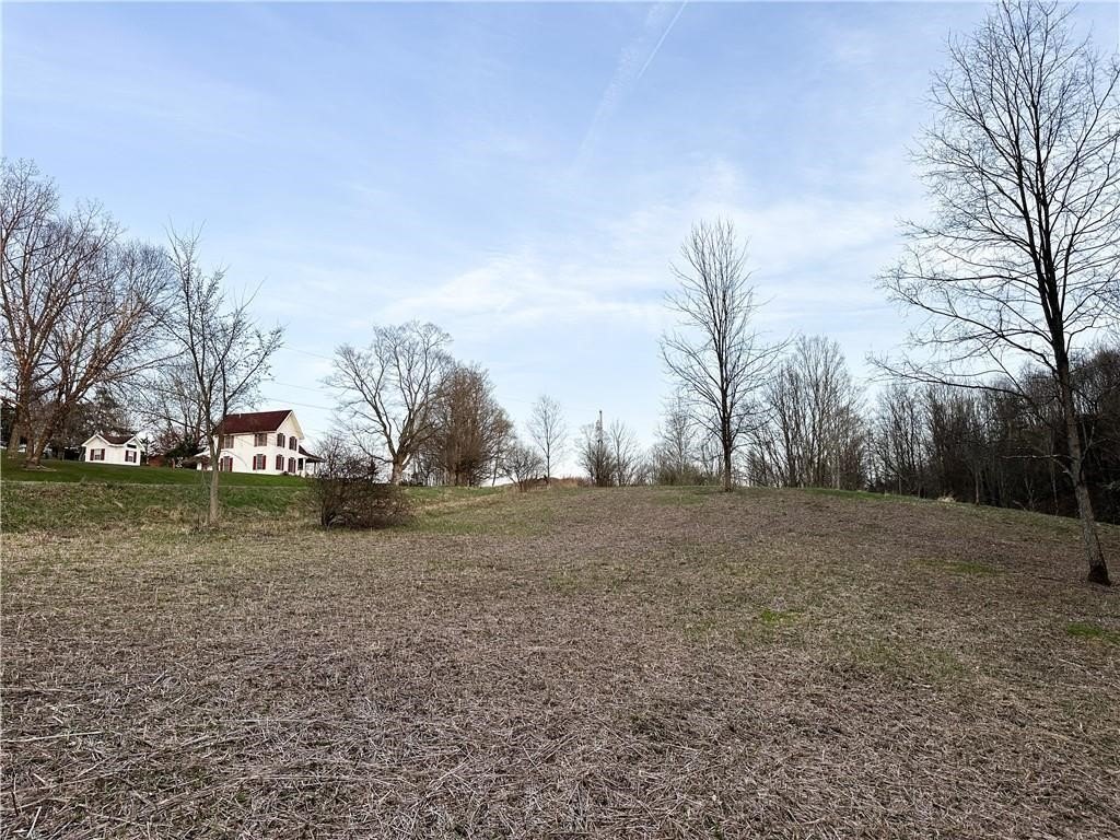 Picture 10
