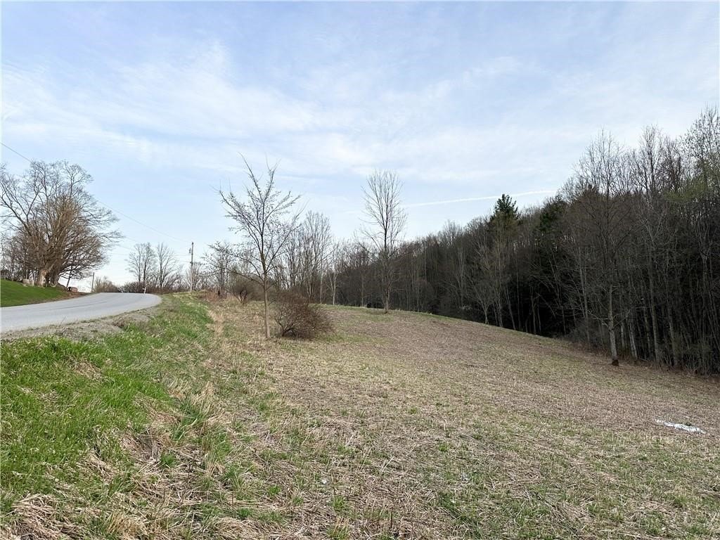 Picture 3