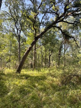 Recreation Land Tract