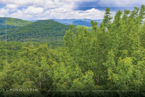 Glenville, NC Ready-to-Build Lot