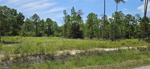 LAND - Lehigh Acres, FL