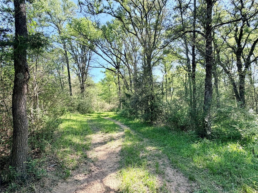 Picture 29