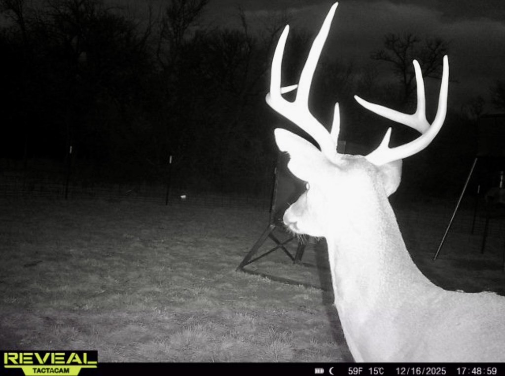 Picture 3