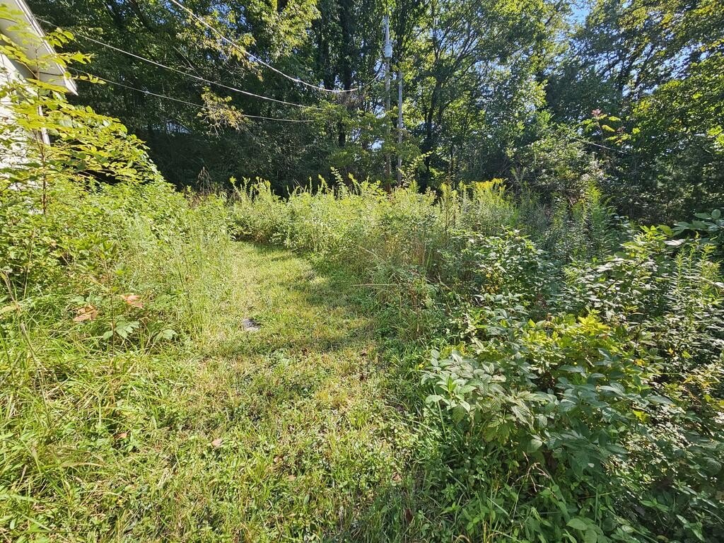 Picture 8