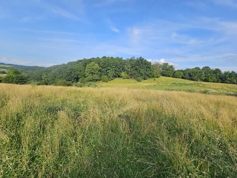61.9 Acres Farm in Glade Spring