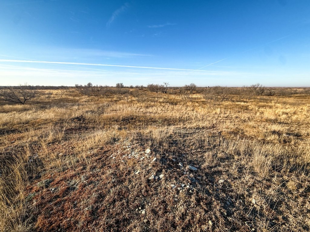 Picture 51