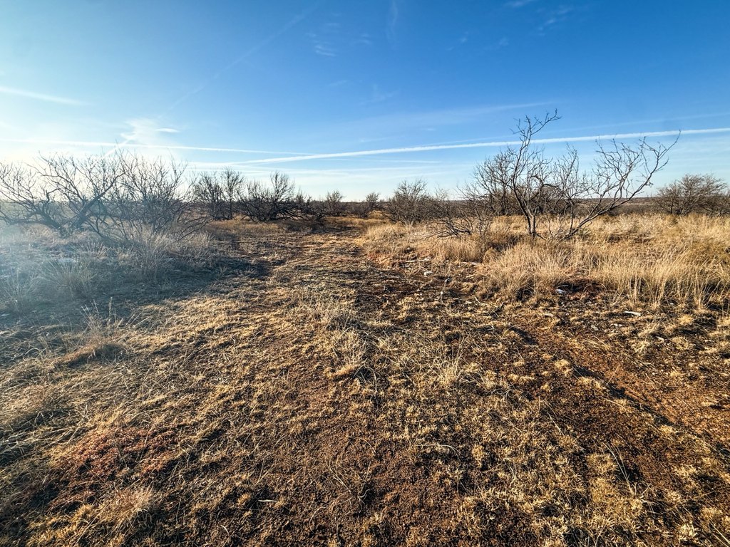 Picture 52