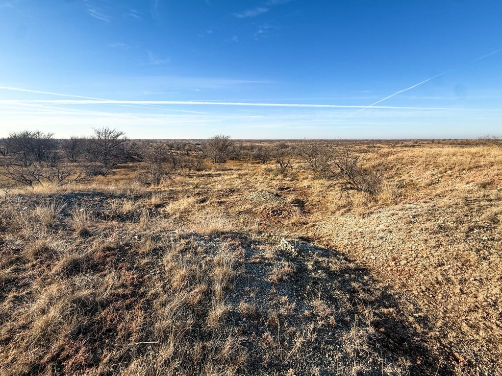 Picture 53
