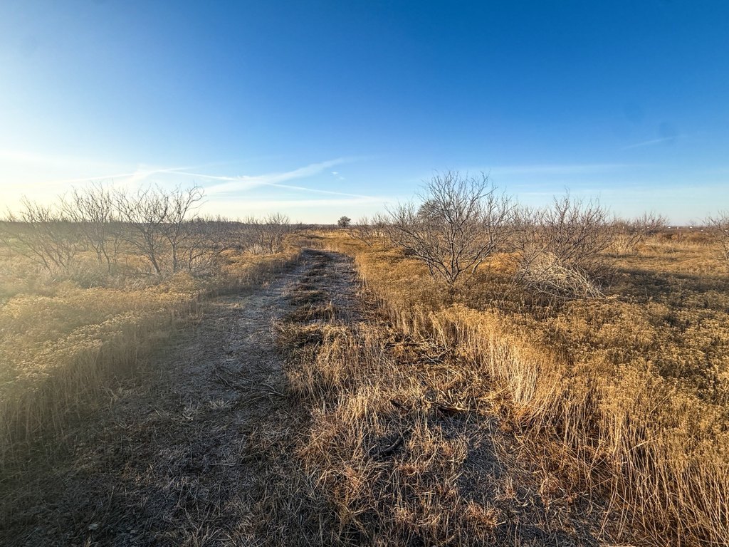 Picture 45