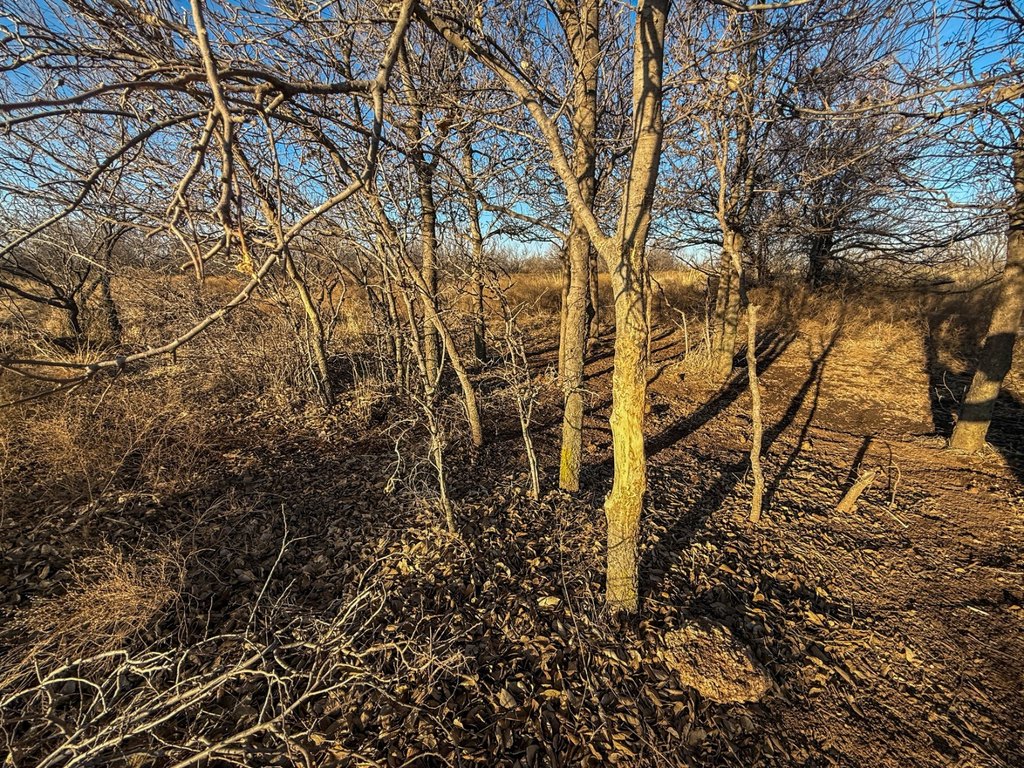 Picture 47