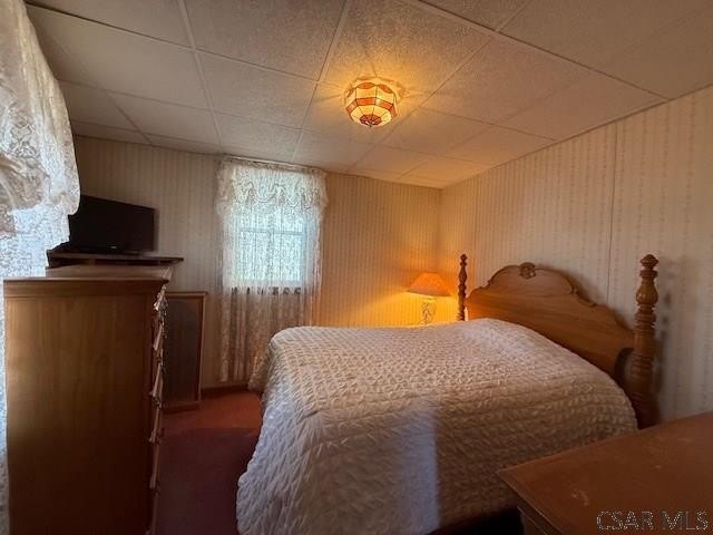 Picture 42