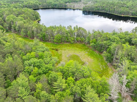 Eagle River Land on Chickaree