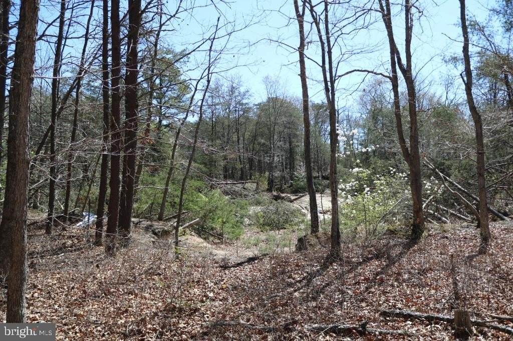 Picture 15