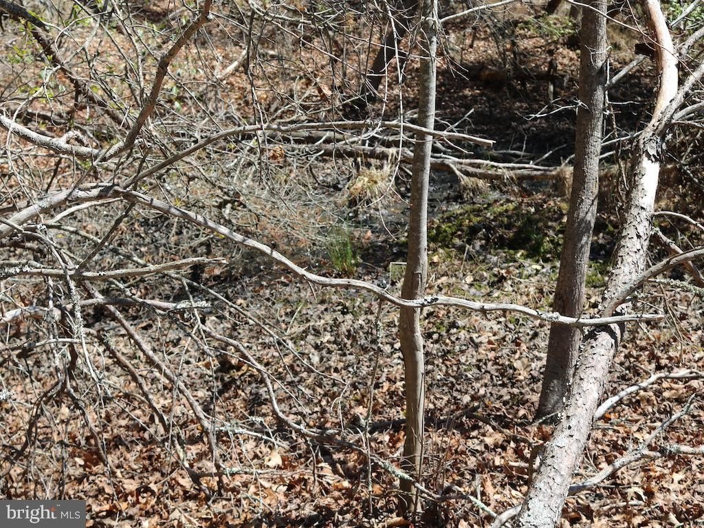 Picture 53