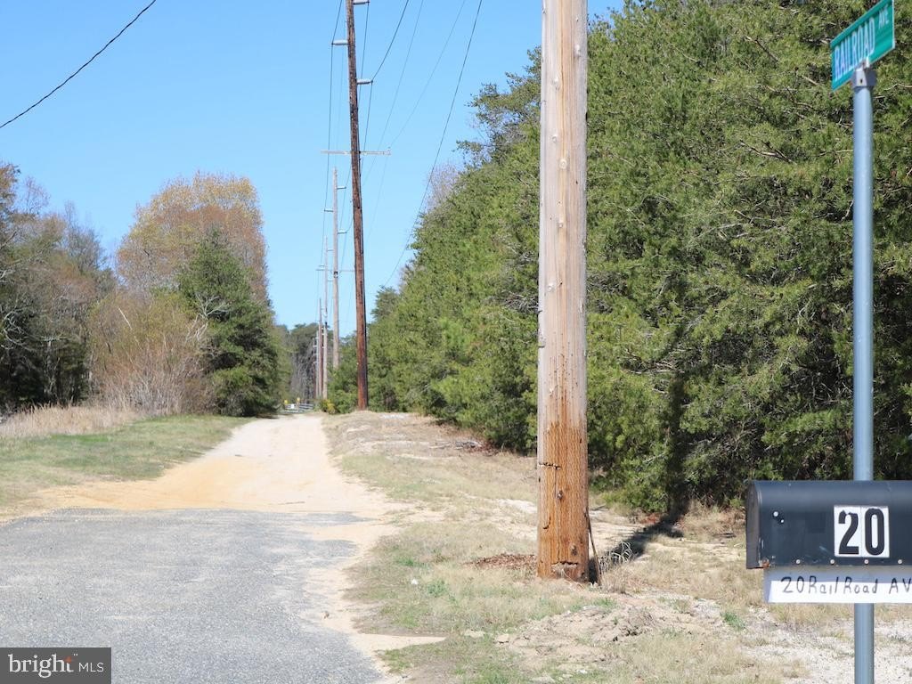 Picture 46