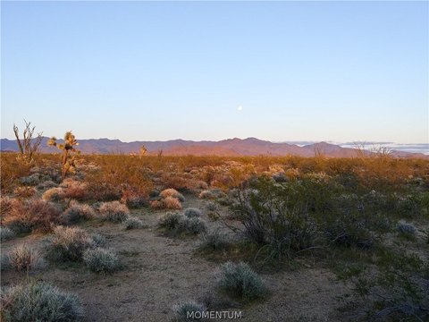 Land, Yucca, AZ