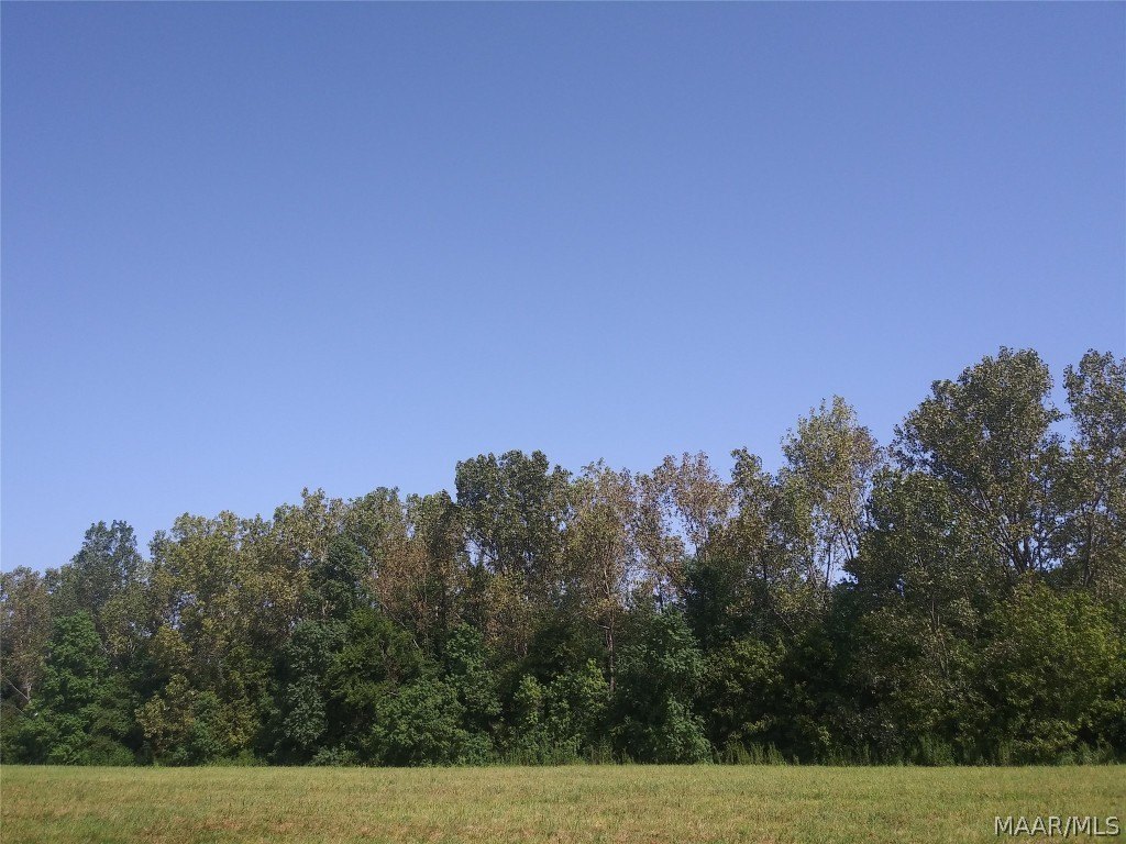 140 Acres of Agricultural Land