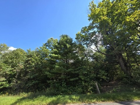 Heavily Wooded 50-Acre Parcel