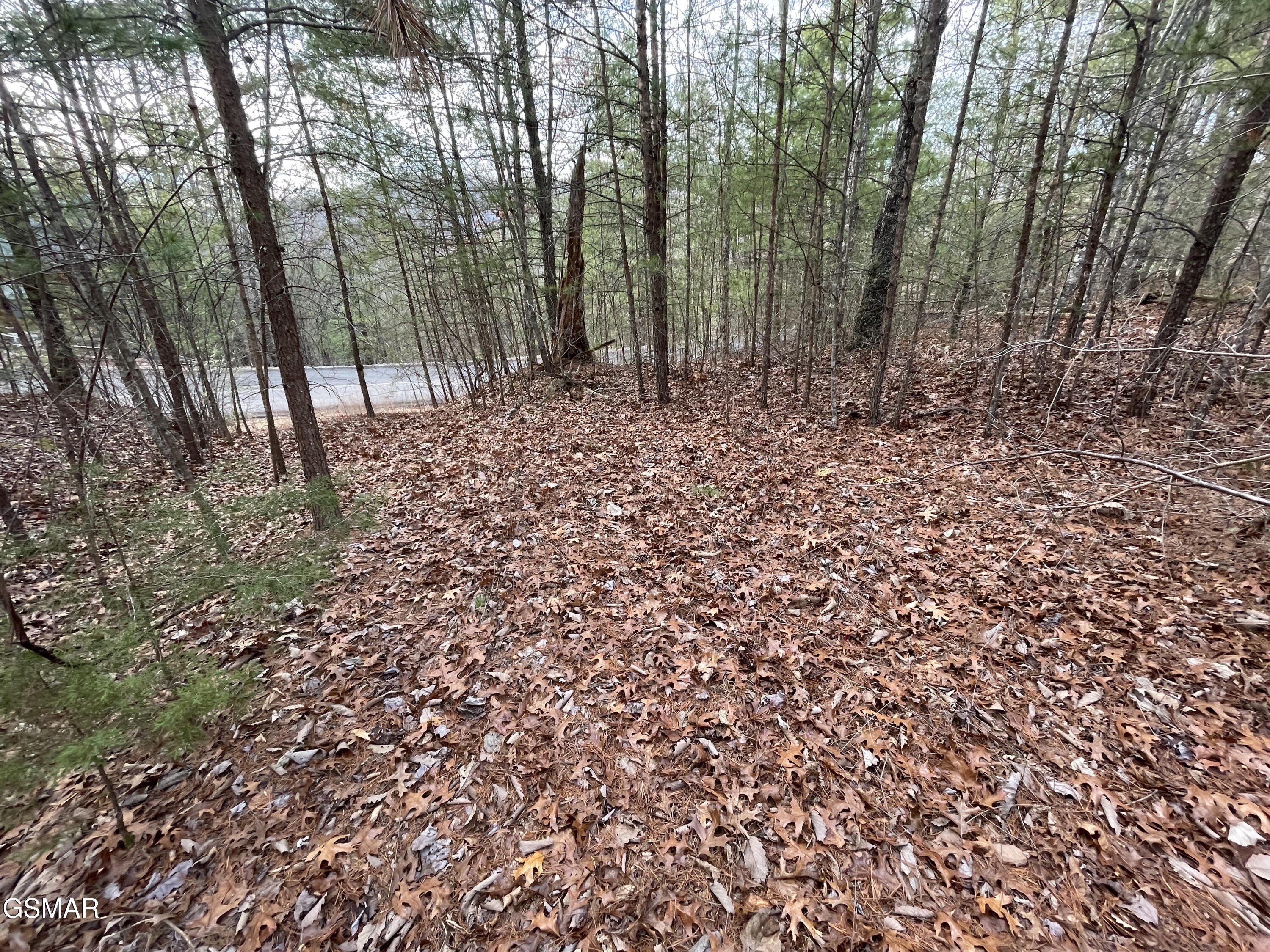Scenic Mountain View Building Lot