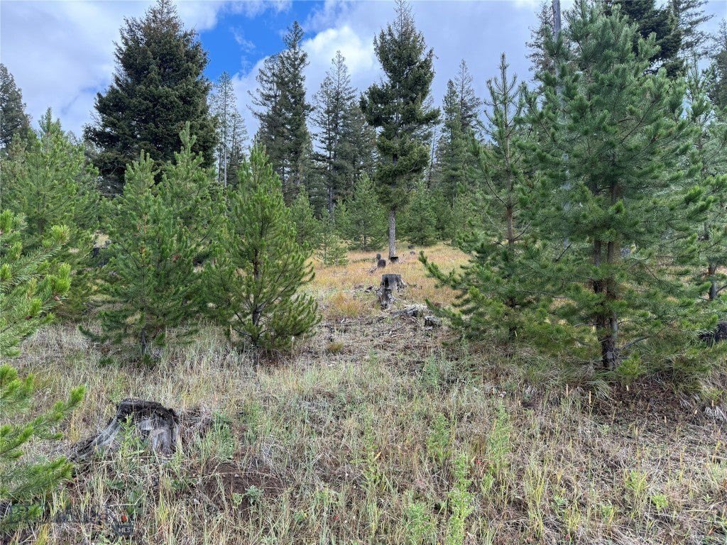 Picture 19