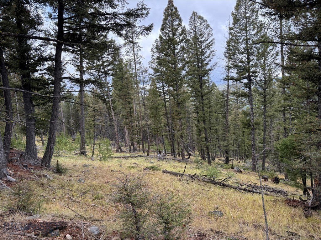 Picture 23