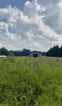 Land with New Barn