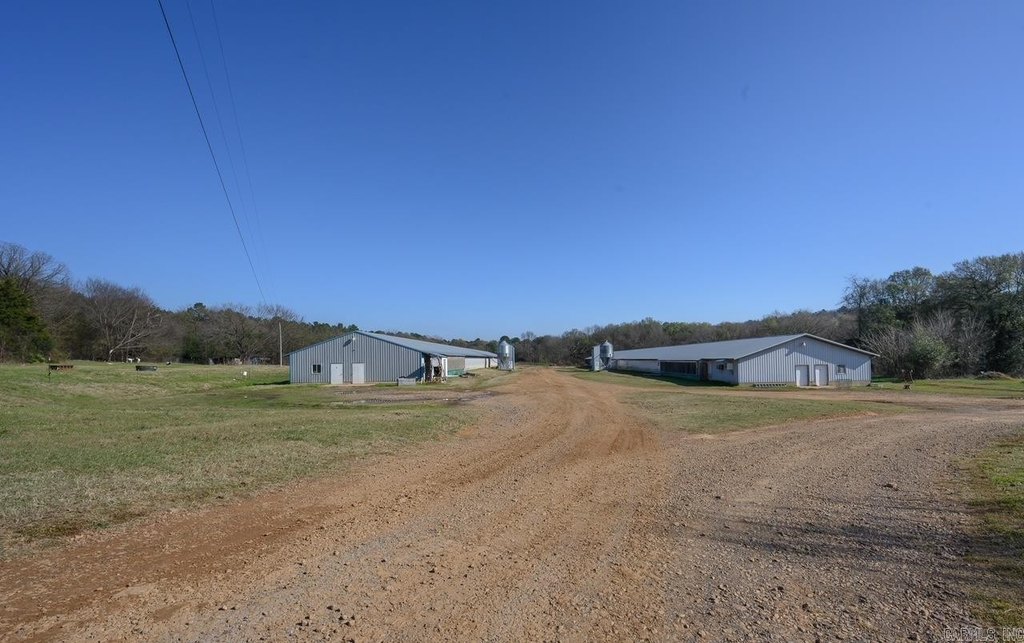 Picture 19