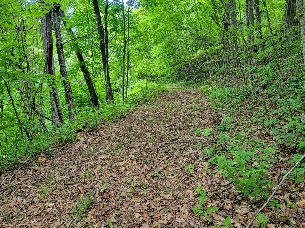 Picture 17