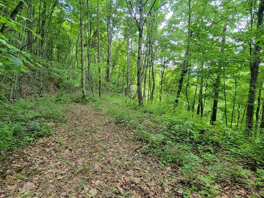 Picture 16