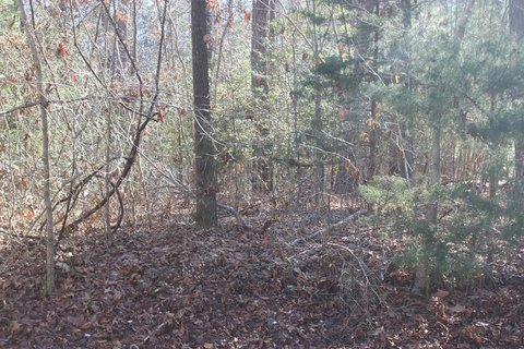 Land, GREENBACKVILLE, VA
