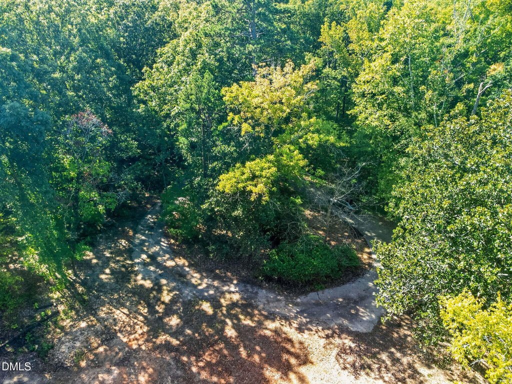 Picture 27